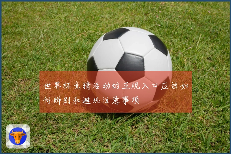 世界杯竞猜活动的正规入口应该如何辨别和避坑注意事项