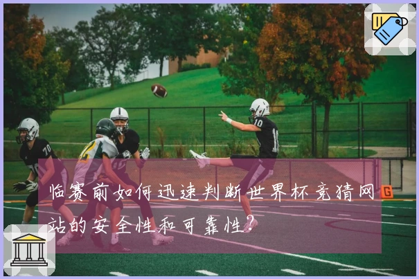 临赛前如何迅速判断世界杯竞猜网站的安全性和可靠性？